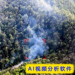 森林火灾识别系统